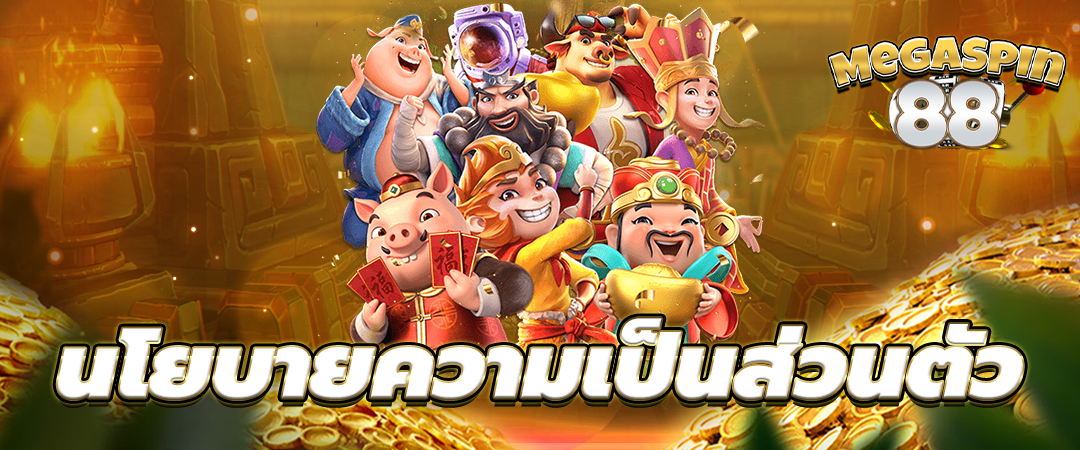 นโยบายความเป็นส่วนตัว